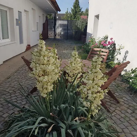 New3 * Olomouc